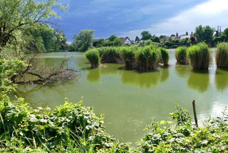 Hodonín objektivem Radka Mlčka