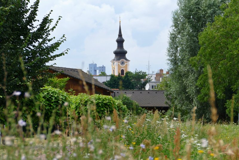 Hodonín objektivem Radka Mlčka