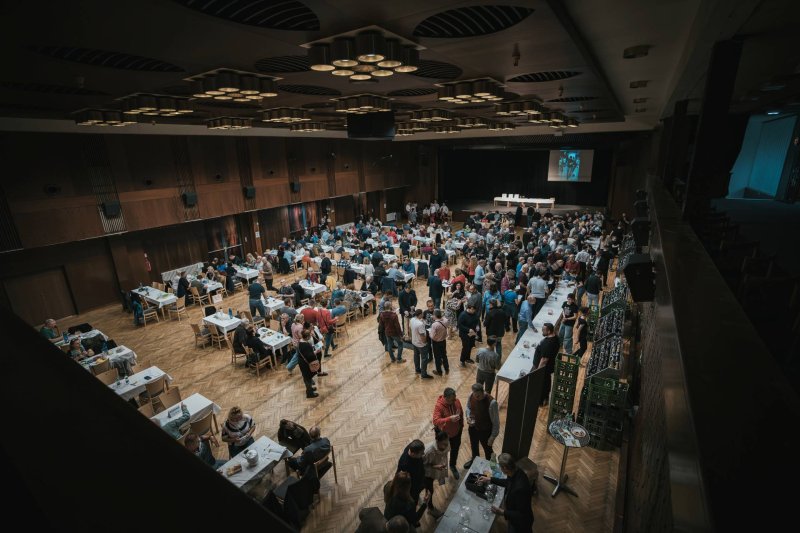 OHLÉDNUTÍ ZA VÝSTAVOU VÍN TROJZEMÍ 2025